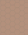 110 220 100 RSV Klinker Hexagon 10x10 cm gammelrosa Winckelmans Granitklinker 01