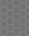 110 220 150 ARD Klinker Hexagon 15x15 cm grafitgra Winckelmans Granitklinker 01