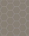 110 220 150 GRU Klinker Hexagon 15x15 cm Gra Winckelmans Granitklinker 01