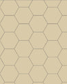 110 220 150 IVO Sekelskifte klinker hexagon 15x15cm elfenben winckelmans granitklinker 01