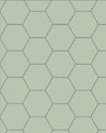 110 220 150 PIS Klinker Hexagon 15x15 cm Pistage Winckelmans Granitklinker 01
