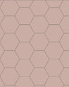 110 220 150 RSU Sekelskifte klinker hexagon 15x15cm rosa winckelmans granitklinker 01
