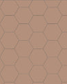 110 220 150 RSV Sekelskifte klinker hexagon 15x15cm gammelrosa winckelmans granitklinker 01