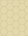 110 220 150 VAN Sekelskifte klinker hexagon 15x15cm vanilj winckelmans granitklinker 01
