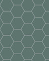 110 220 150 VEF Klinker Hexagon 15x15 cm morkgron Winckelmans Granitklinker 01