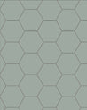 110 220 150 VEP Sekelskifte klinker hexagon 15x15cm ljusgron winckelmans granitklinker 01
