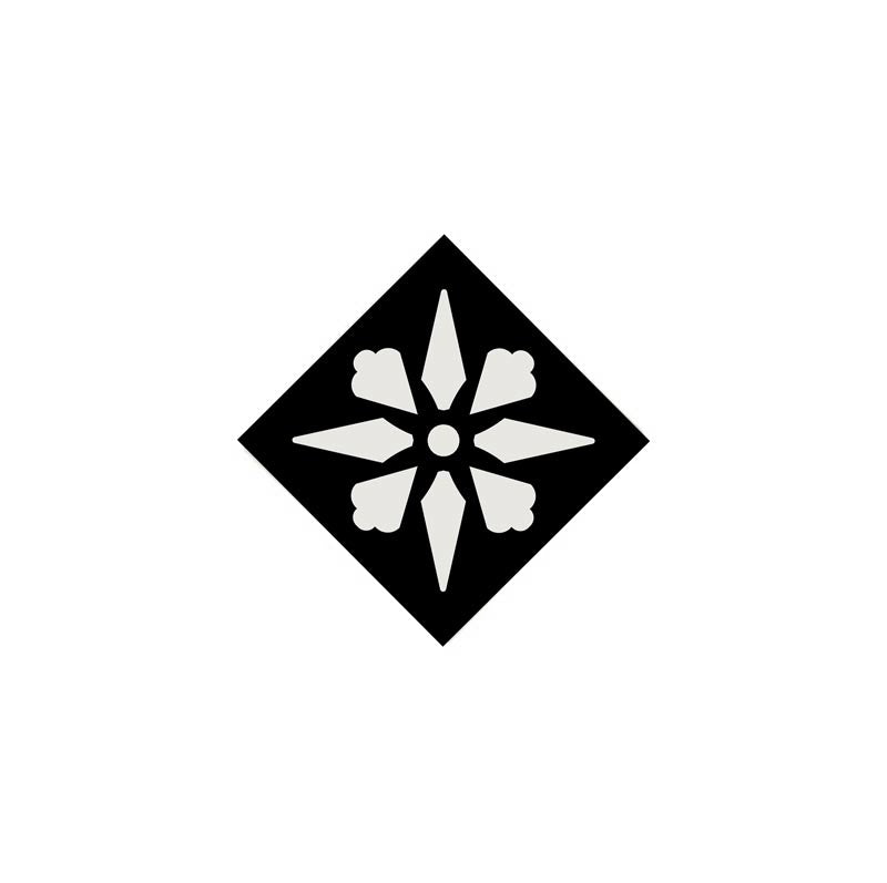 Floor Tiles - Encaustic Dot 5 x 5 cm (1.97 x 1.97 In.) White/Black - Super White BAS/Black NOI