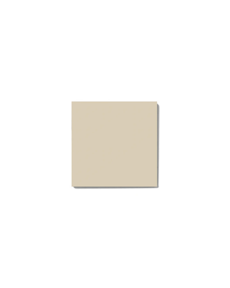 Color Sample - Floor Tile - Ontario