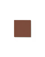 Color Sample - Floor Tile - Red