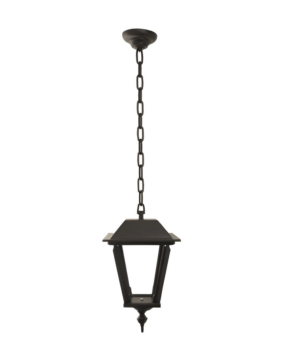 Outdoor Ceiling Lighting - Small pendant light L4