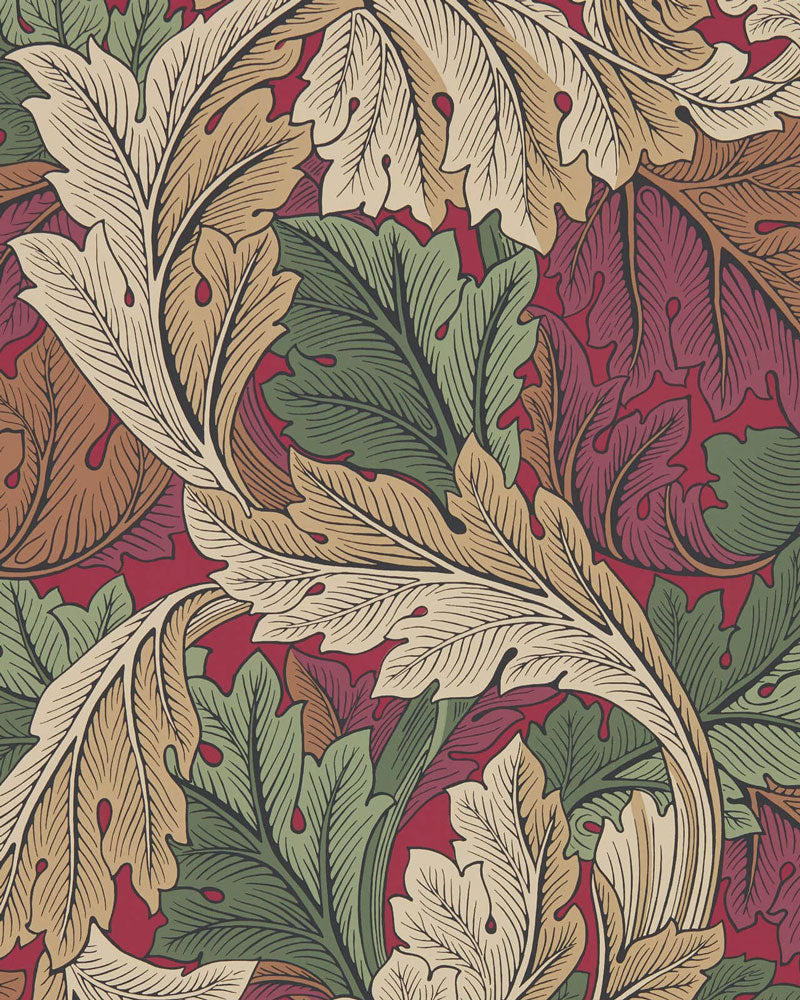 William Morris & Co. Wallpaper - Acanthus Madder/Thyme