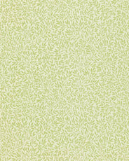 William Morris & Co. Tapet - Standen Fennel thumbnail image