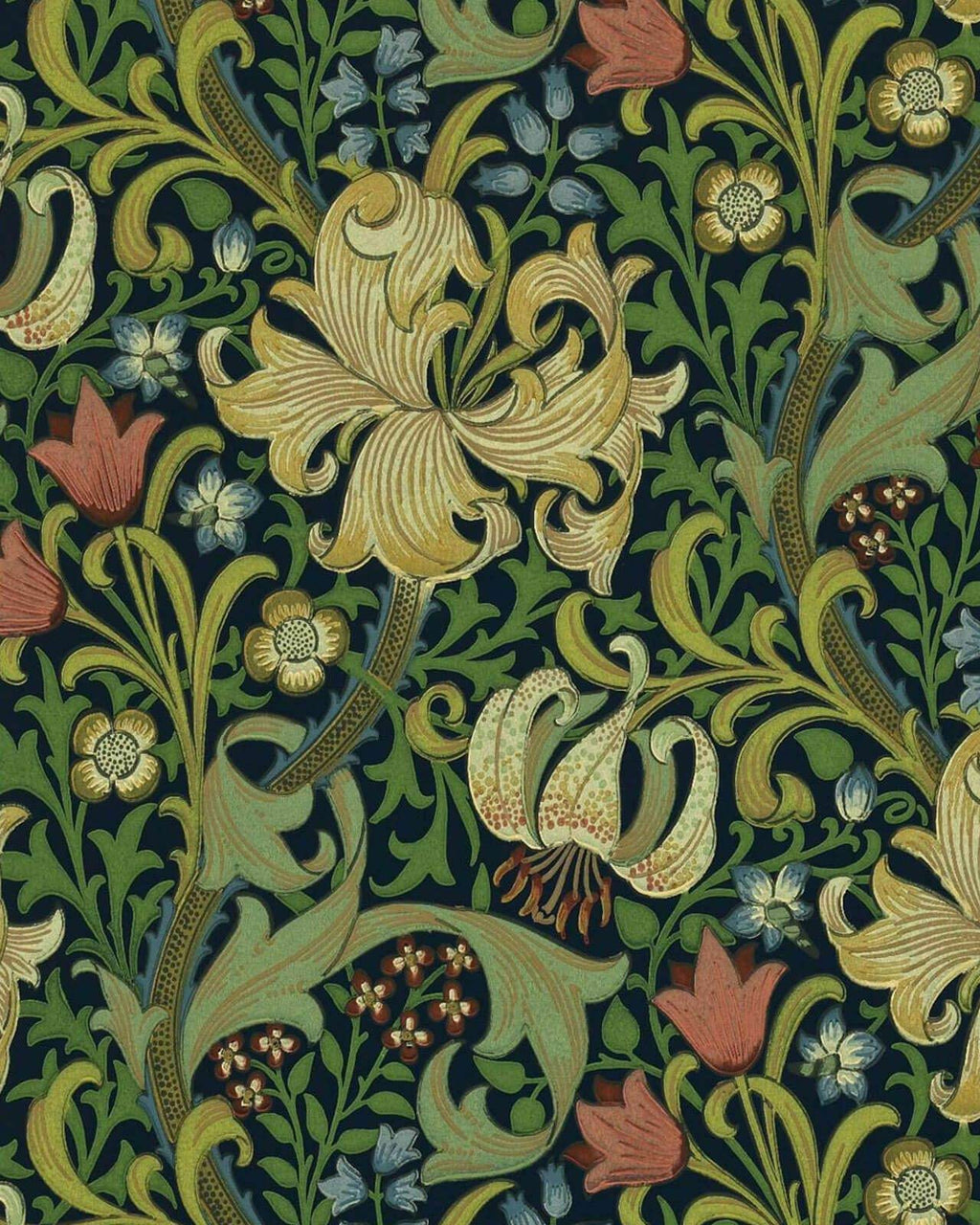 William Morris & Co. - Gammaldags tapet - Golden Lily Indigo – Sekelskifte