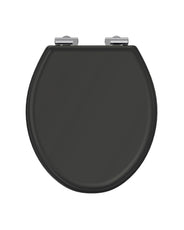 Soft-closing toilet seat - Guild thumbnail image