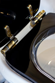 Soft close toilet seat - Camden thumbnail image
