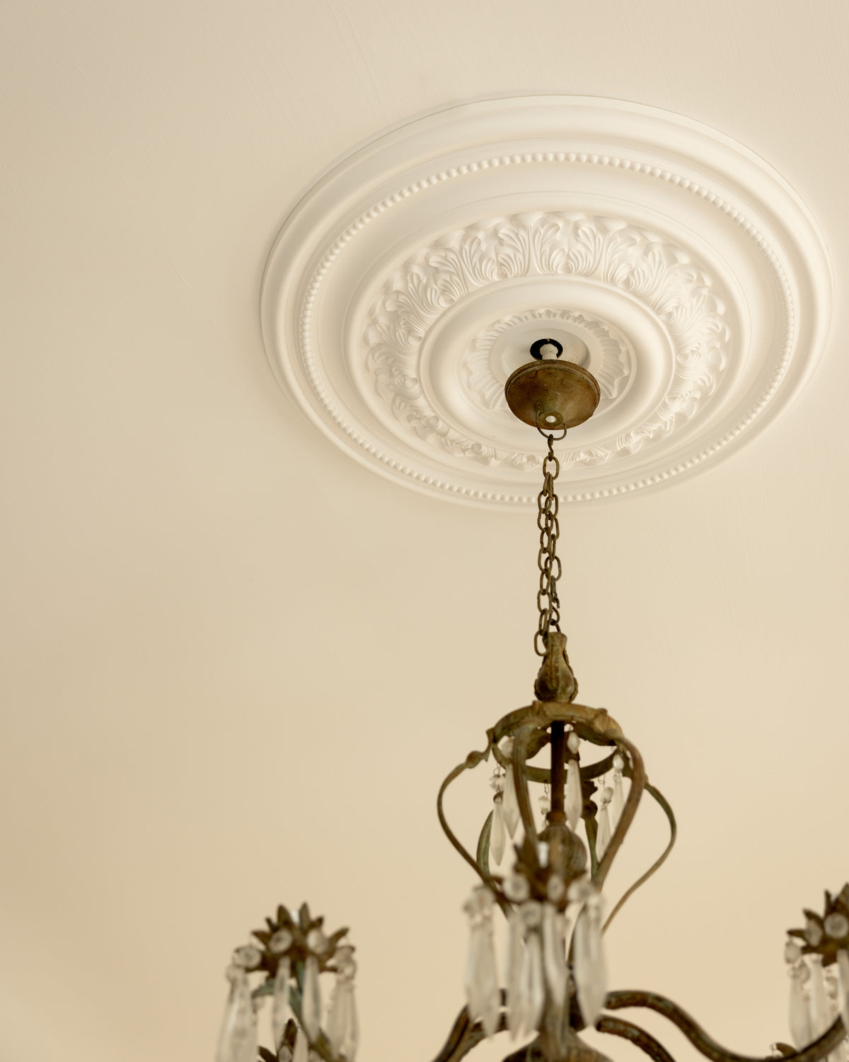 Ceiling Rose - Classic No. 7034/24 image
