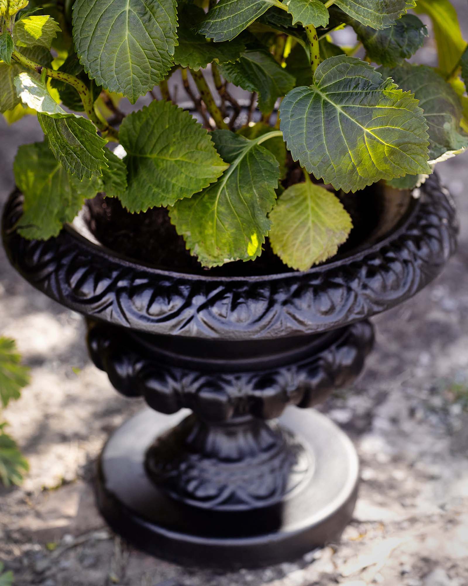 Cast Iron Urn - Arild image
