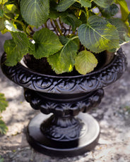 Cast Iron Urn - Arild thumbnail image