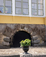 Gjutjärnsurna - Trädgårdsurna Jugend thumbnail image