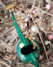 Vattenkanna - Grön 5 L thumbnail image