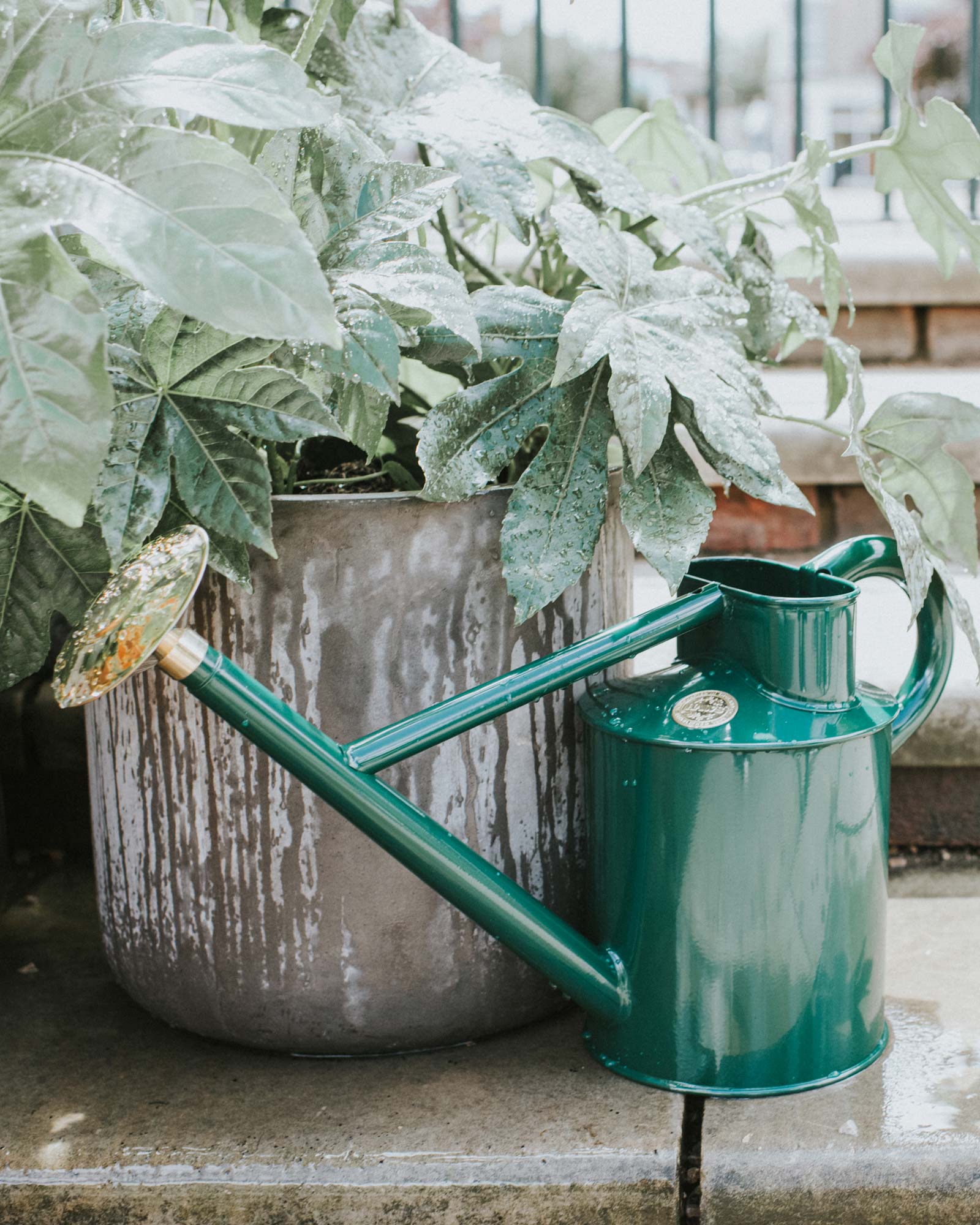 Water can - Green 5 L image