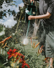 Watering can long pipe - Haws green 9 L thumbnail image
