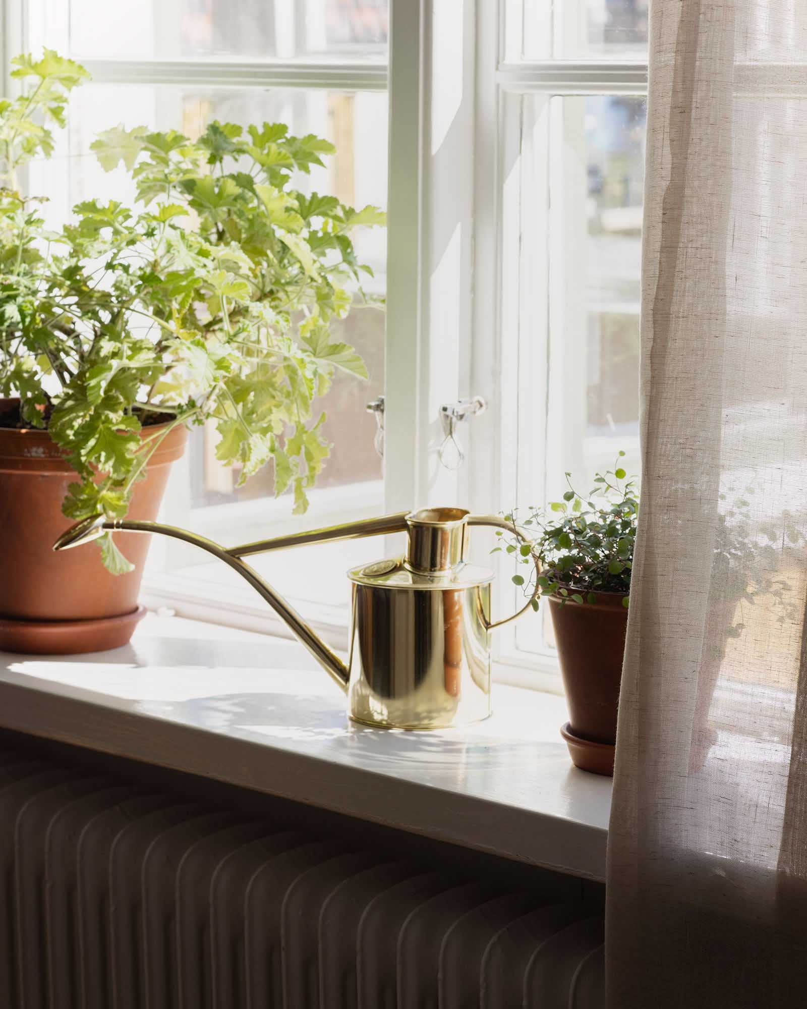 Indoor Watering Can – Brass 1 L image