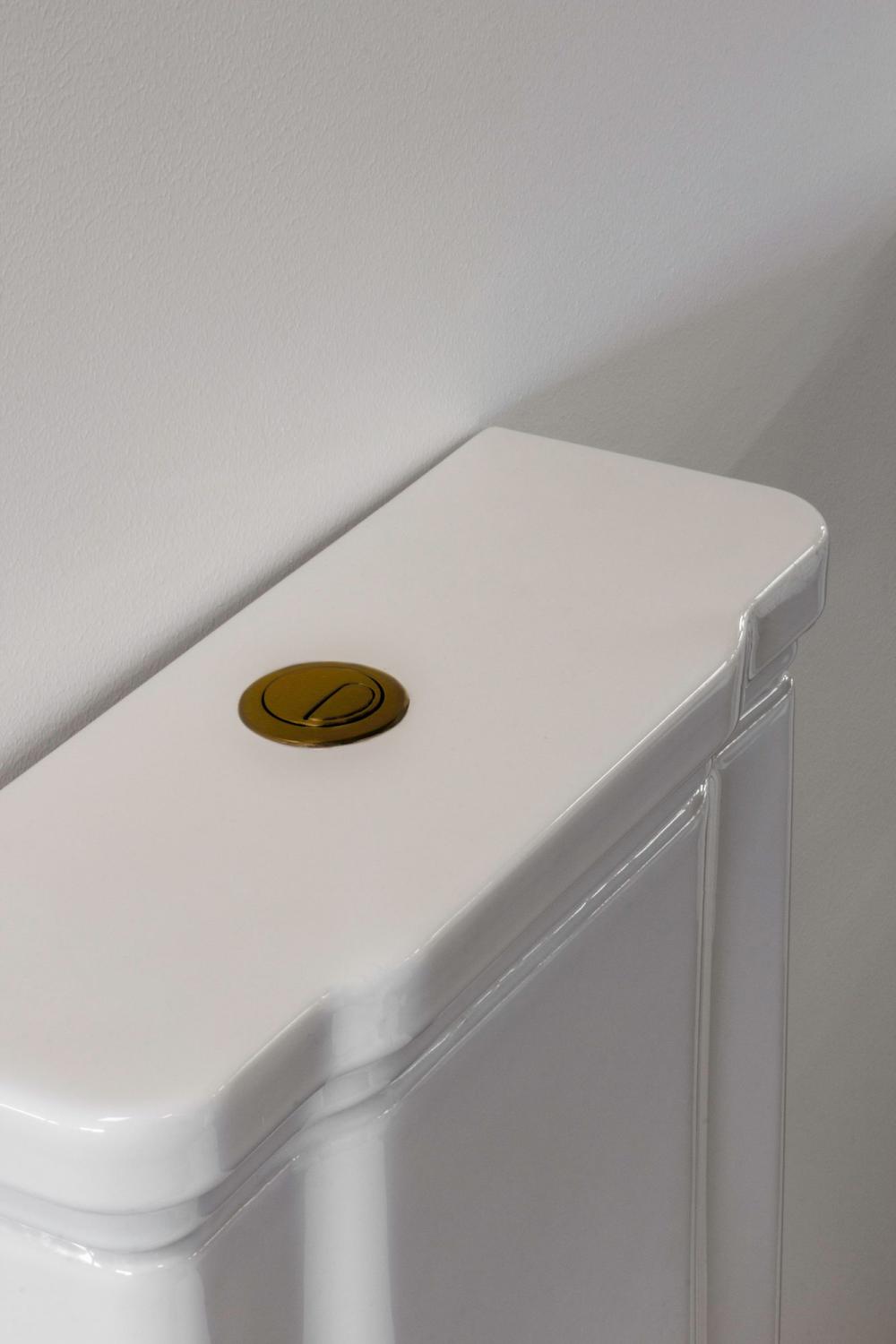 Flush Mechanism & Push Button - Camden & Art Deco image