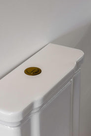 Flush Mechanism & Push Button - Camden & Art Deco thumbnail image
