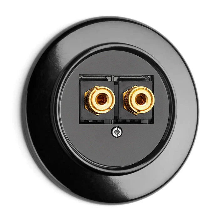 Speaker outlet - Bakelite WBT image