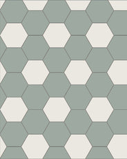 Floor Tiles - Hexagon 10 x 10 cm (3.94 x 3.94 In.) - Pale Green VEP/Super White BAS thumbnail image