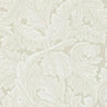 acanthus chalk_medium_8ef8bb39 9864 49e1 8c73 b2046bf24c9b
