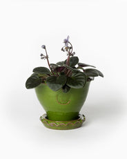 Kruka Sturehof - Adelcrantz, 11 cm grön thumbnail image