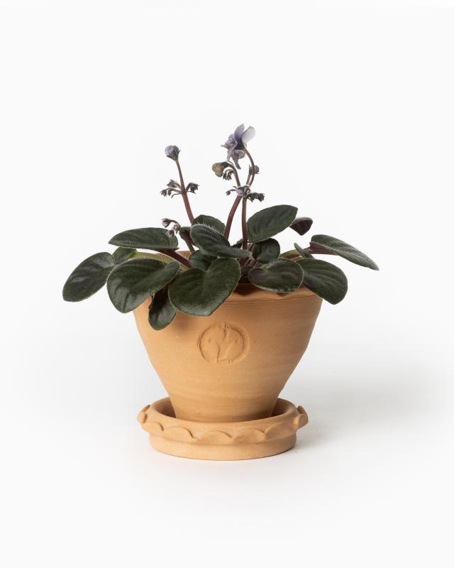 Kruka Sturehof - Adelcrantz 11 cm image