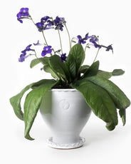 Sturehof Pot - Adelcrantz, 24 cm (9.45 inches) white thumbnail image
