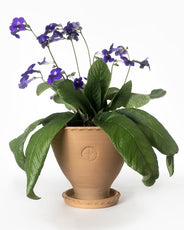 Kruka Sturehof - Adelcrantz 24 cm thumbnail image