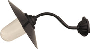 Outdoor Light - Fixed 35° Light, Hook Mount Arm, Black Shade thumbnail image